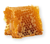 Honey & Honeycomb