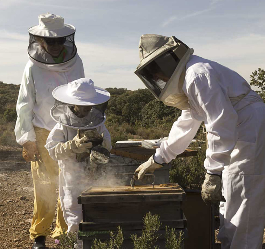 Sustainable Beekeeping Practices