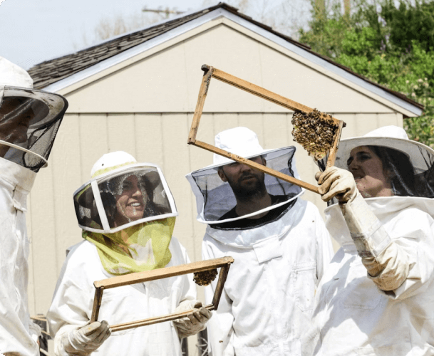 Creative Activities – Biodegradable Beeswax Food Wrap Workshop - Image 5