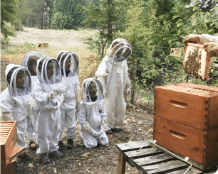 Honey Cooking Class - Image 3