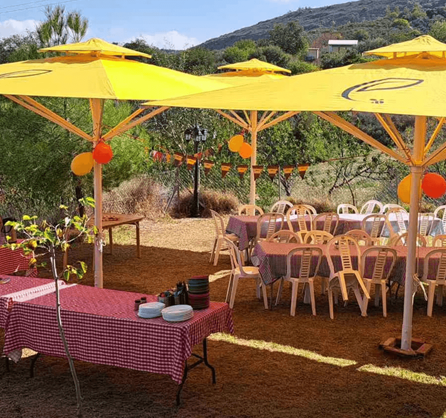 Family Day at the Apiary