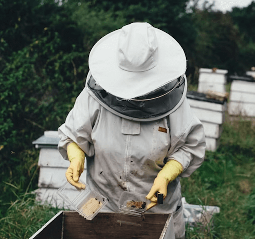 Honey Harvesting Experience - Image 2