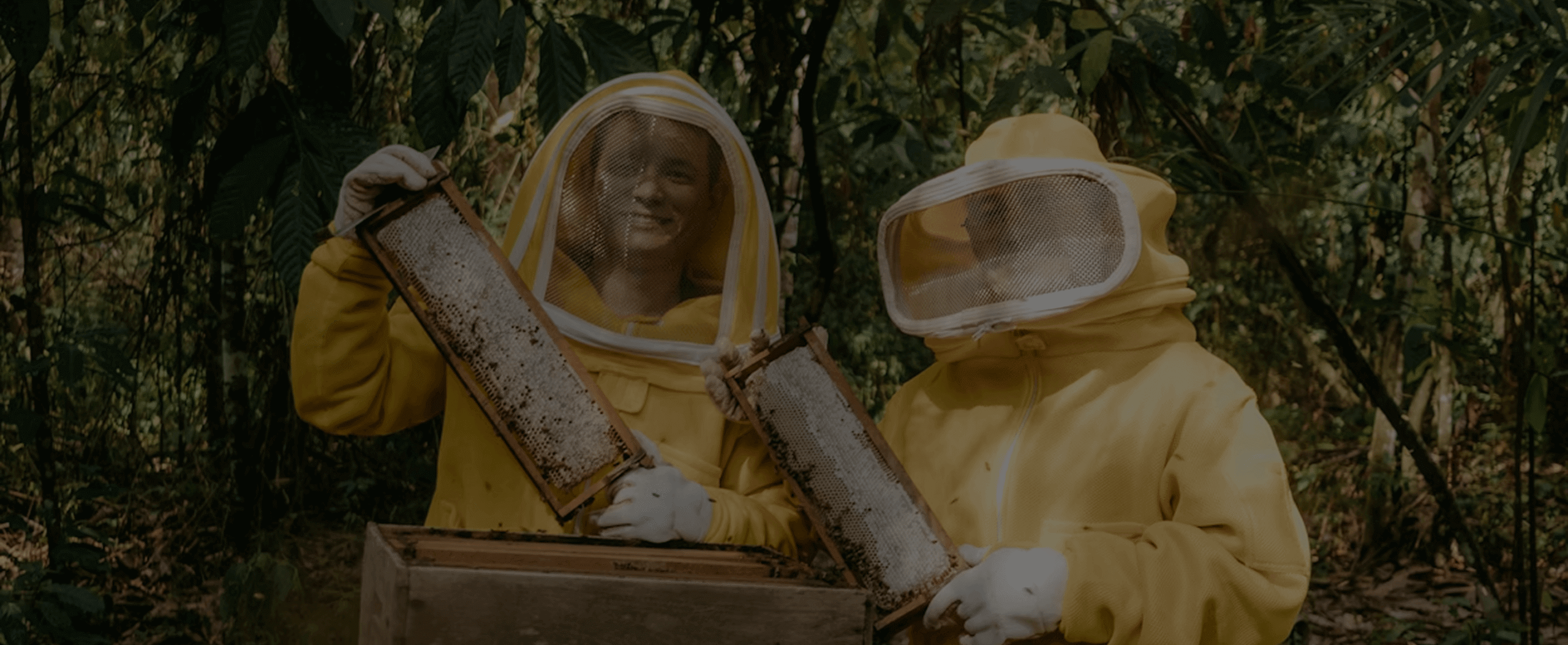 Activities for Everyone